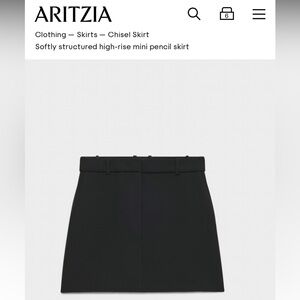 Aritzia Chisel Skirt